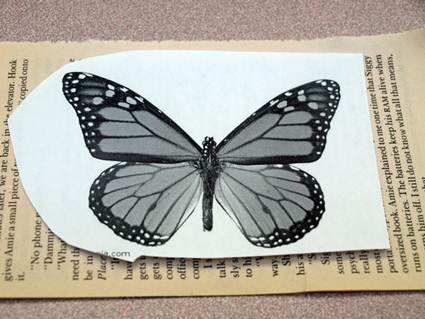 mariposas papel 