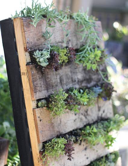 Jardín vertical casero