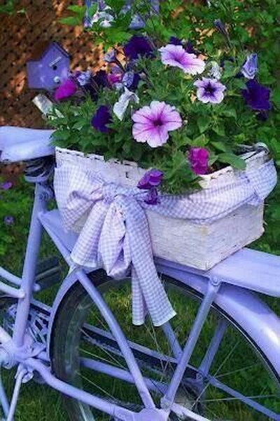 jardin bicicleta