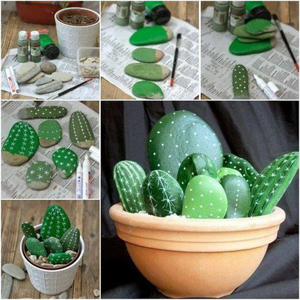 cactus de piedras